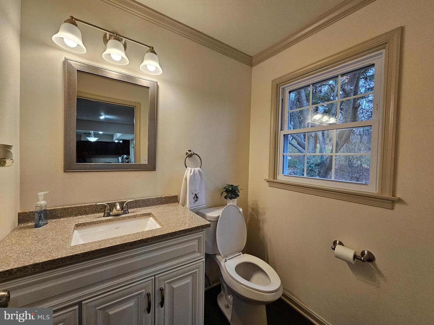 109 Deerfield Road photo 18