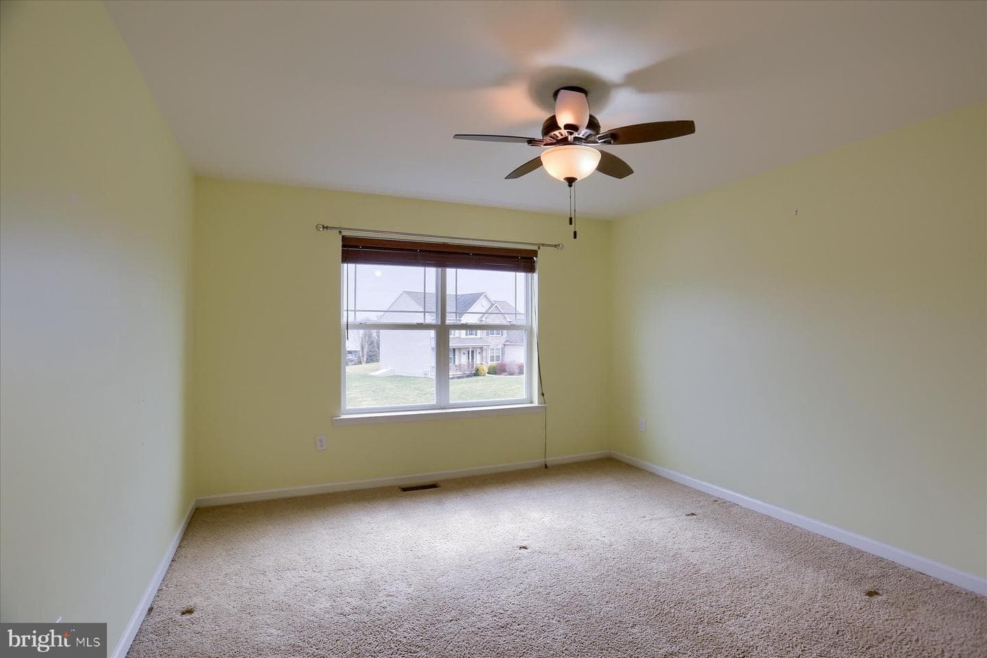 41 Balfour Drive photo 20