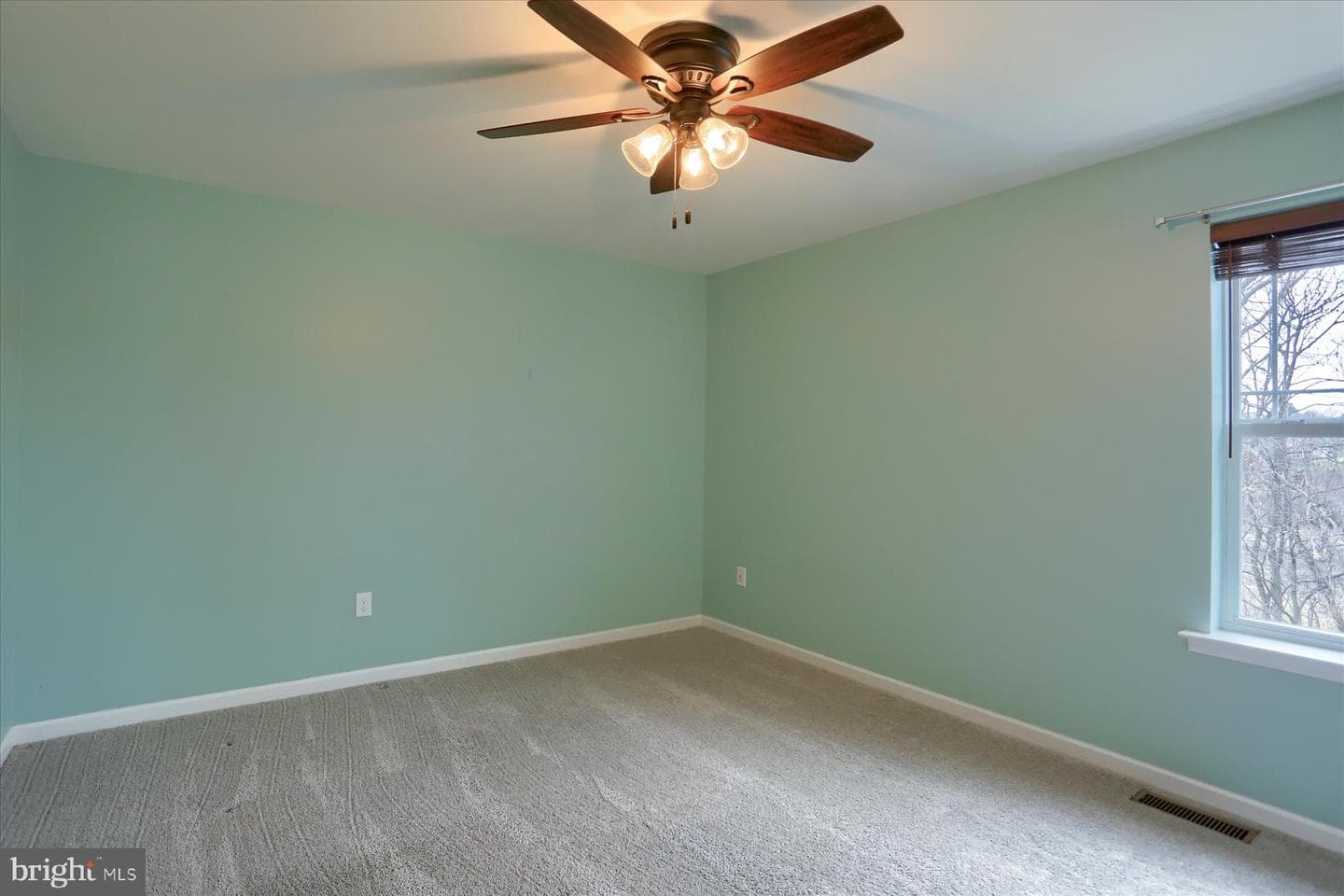 41 Balfour Drive photo 22