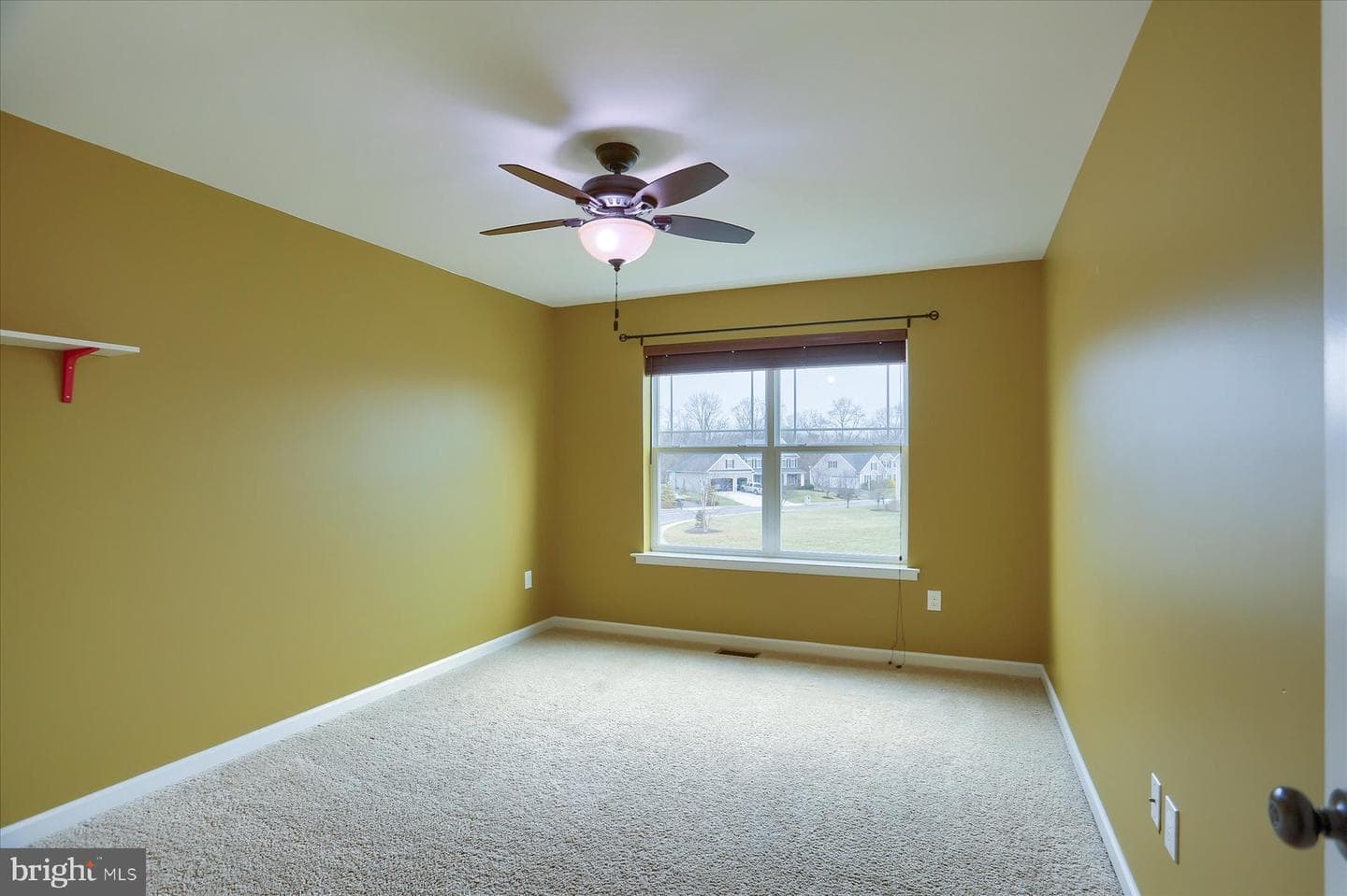41 Balfour Drive photo 24