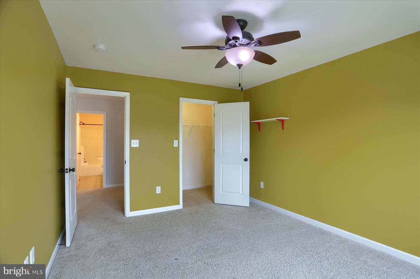 41 Balfour Drive photo 25