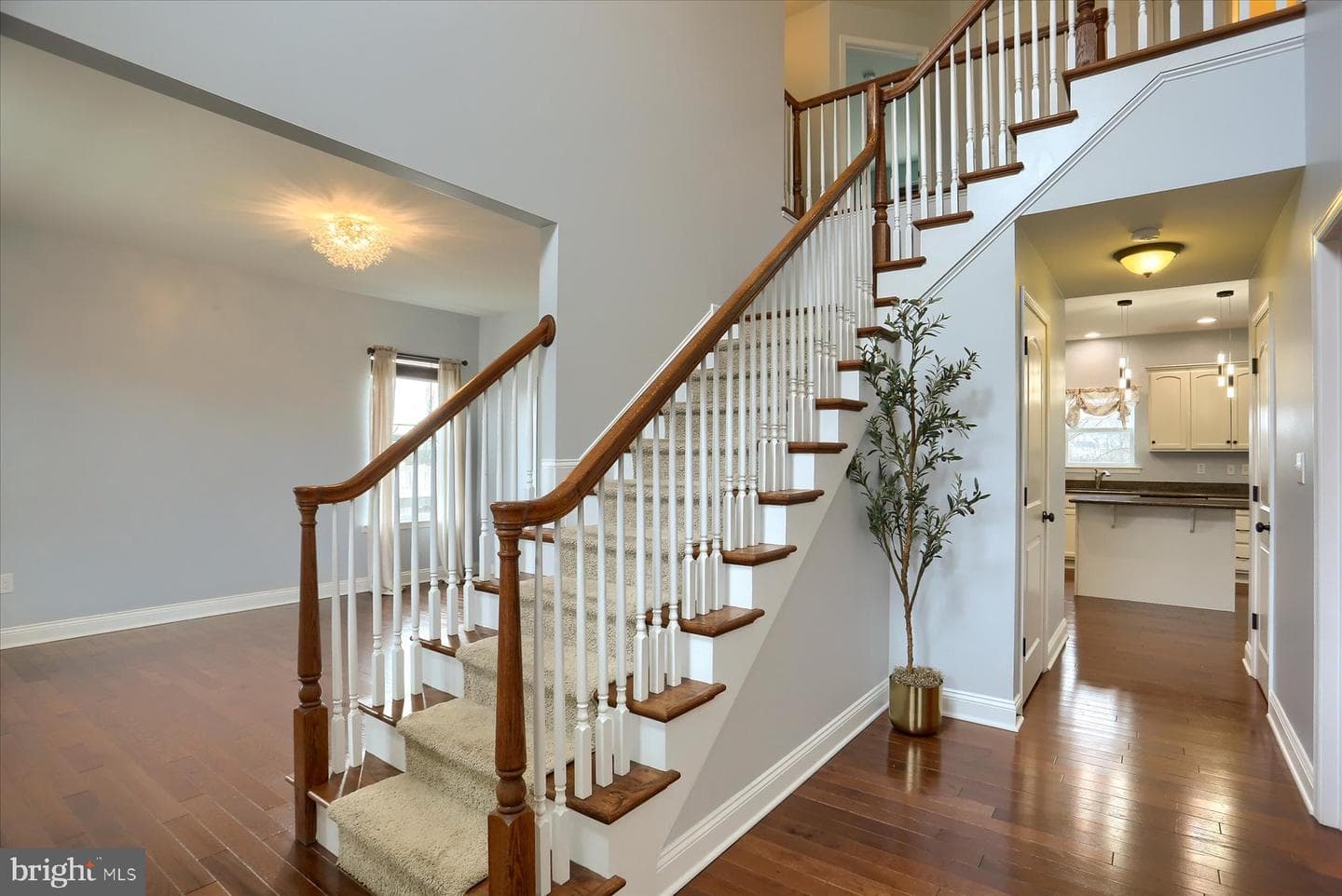41 Balfour Drive photo 4