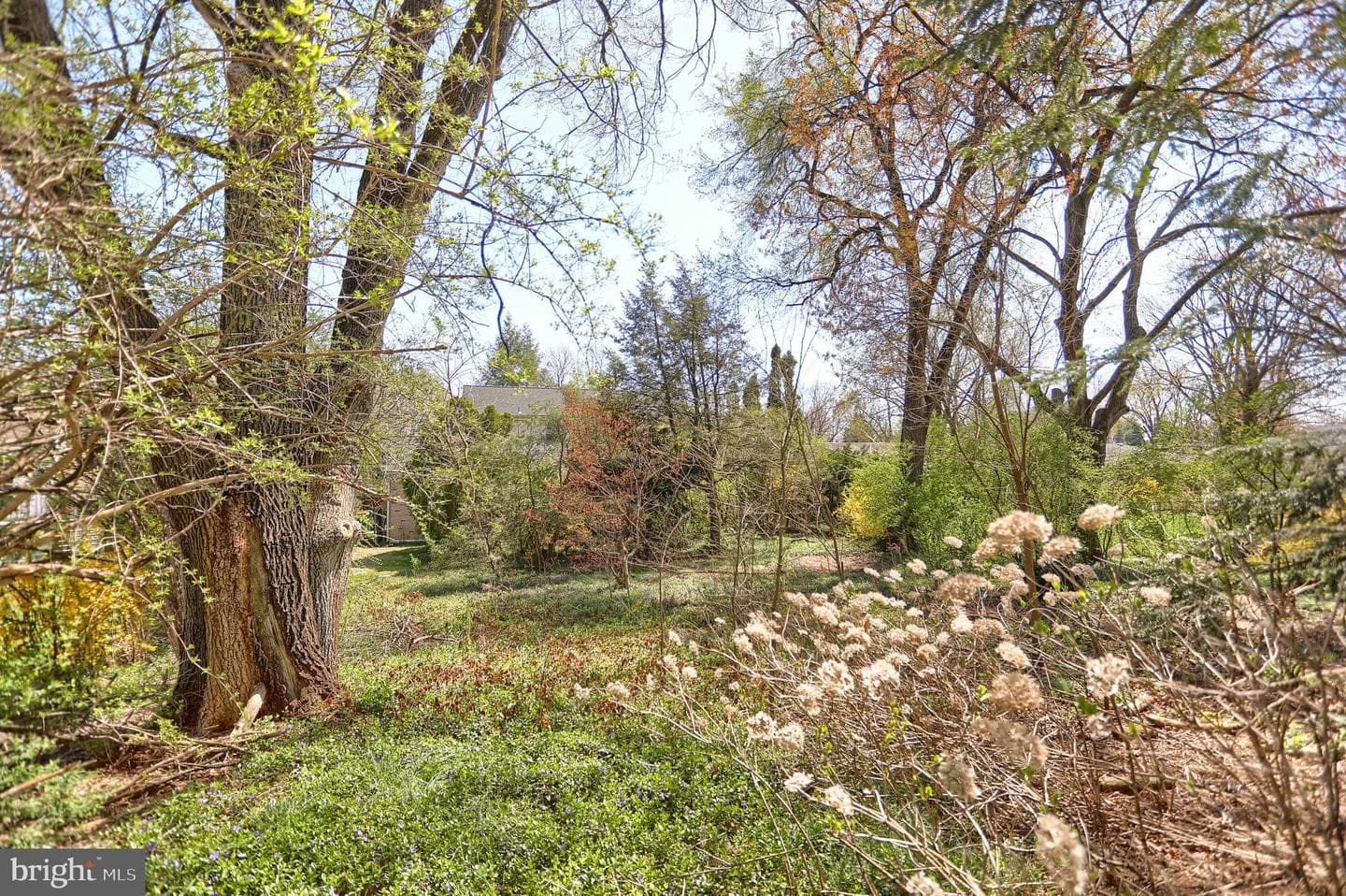 4803 Charles Road photo 27