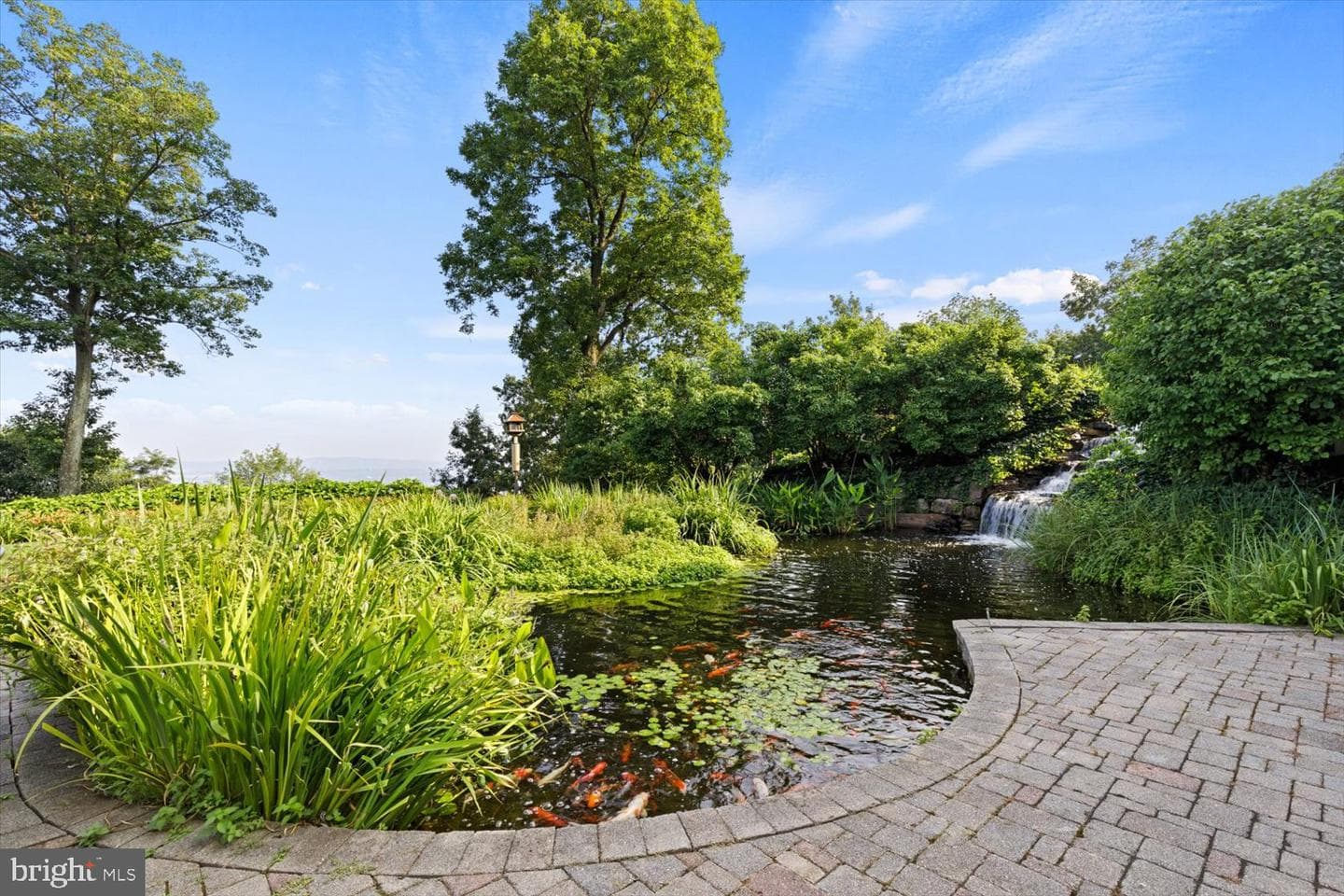 300 River Bend Drive photo 115