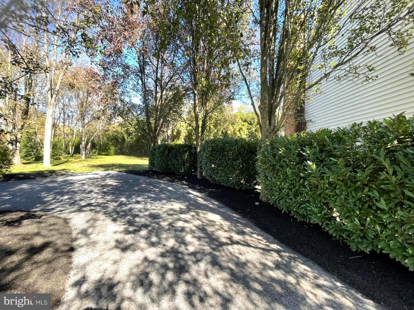 203 Friar Court photo 3