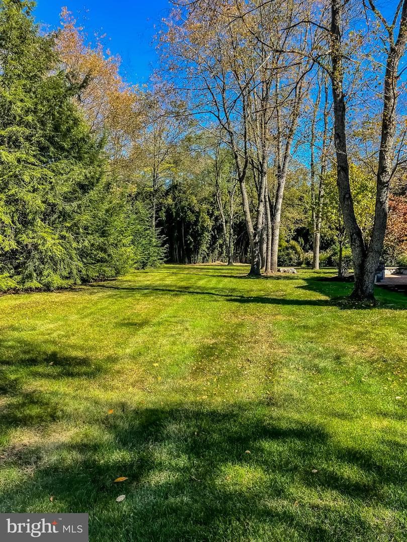 203 Friar Court photo 42