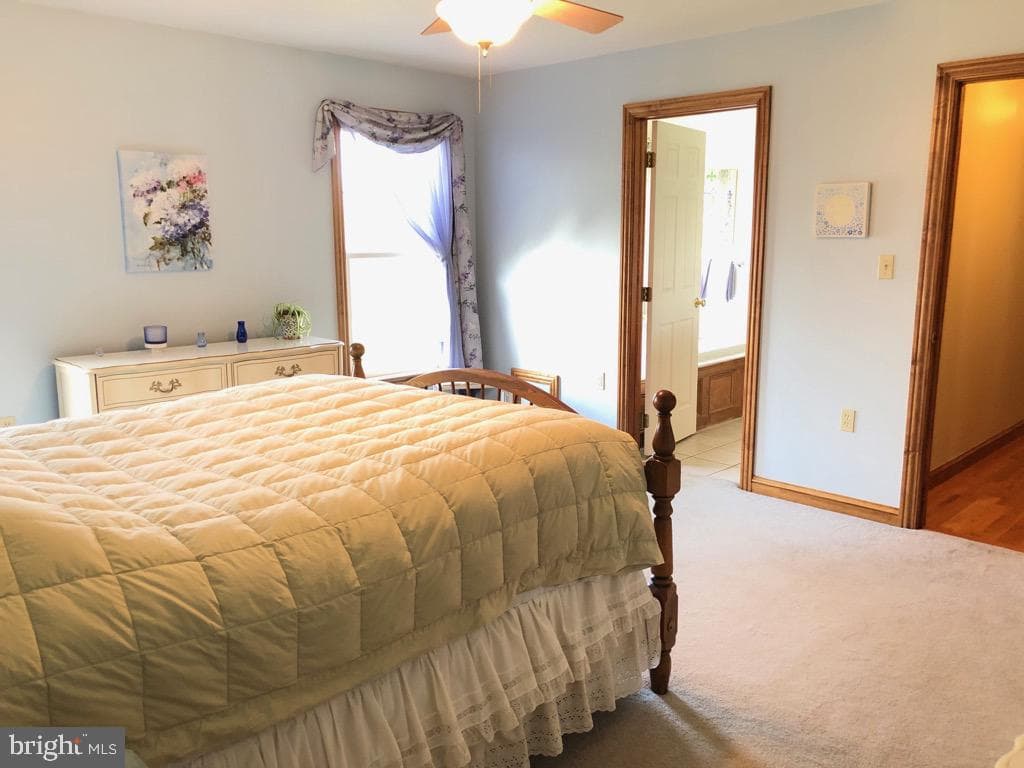 118 Shirley Lane photo 12