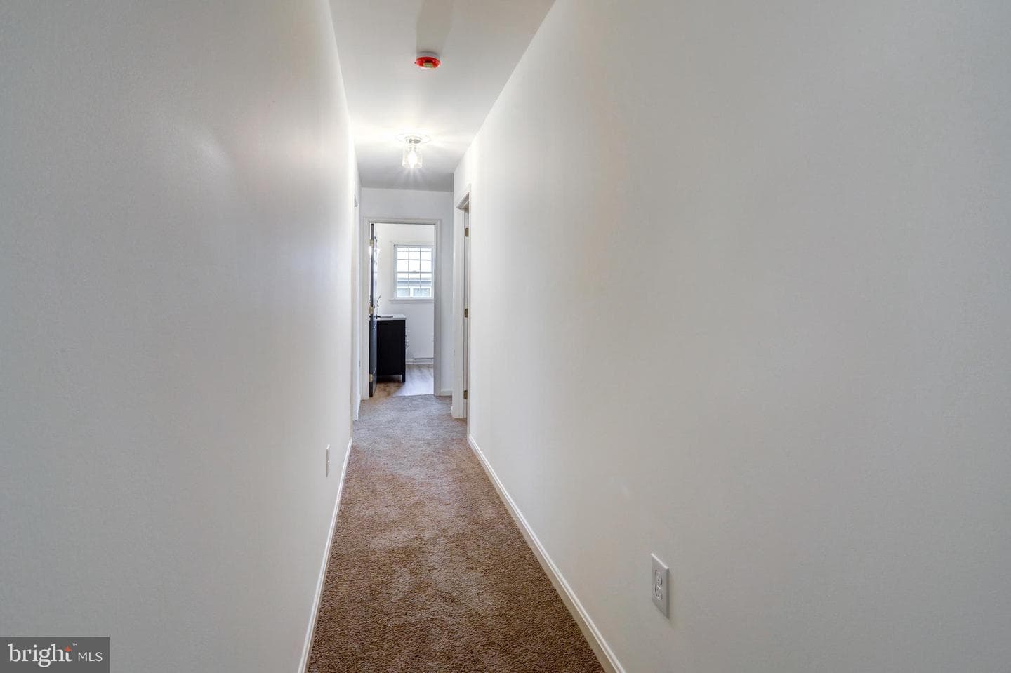 520 Boxwood Lane photo 17