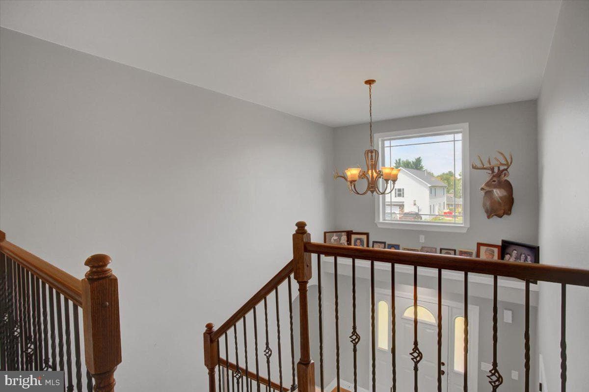 5 Bristol Avenue photo 34