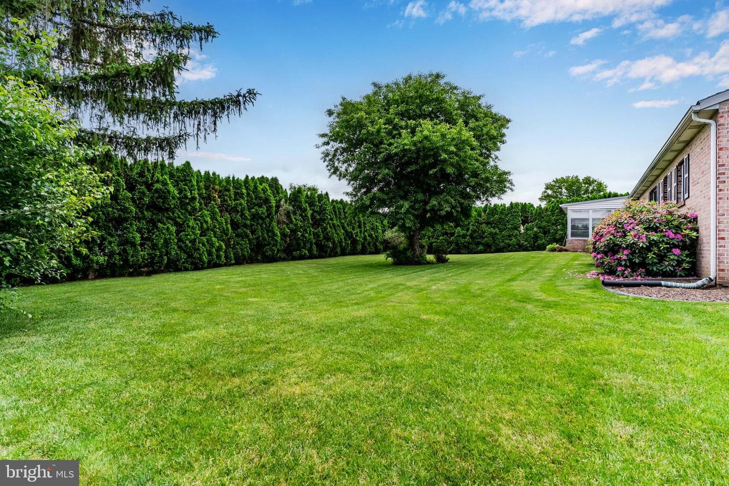 701 Robert Street photo 25