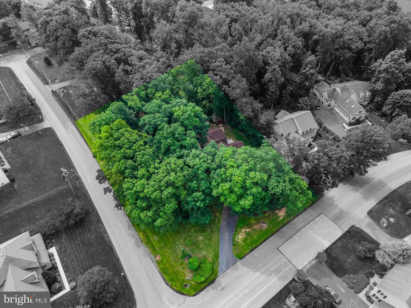 7 Forest Lane photo 9