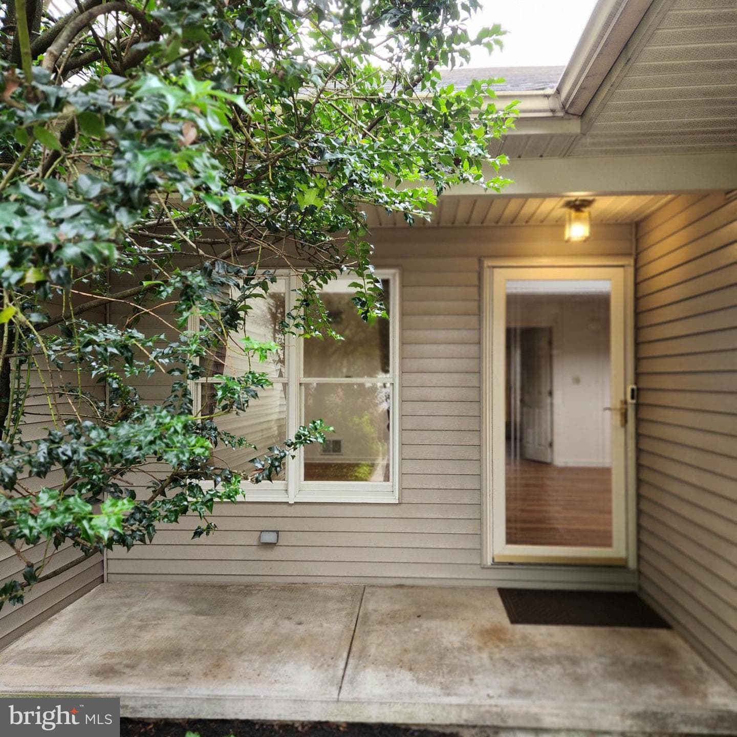 1455 Maplewood Drive photo 3