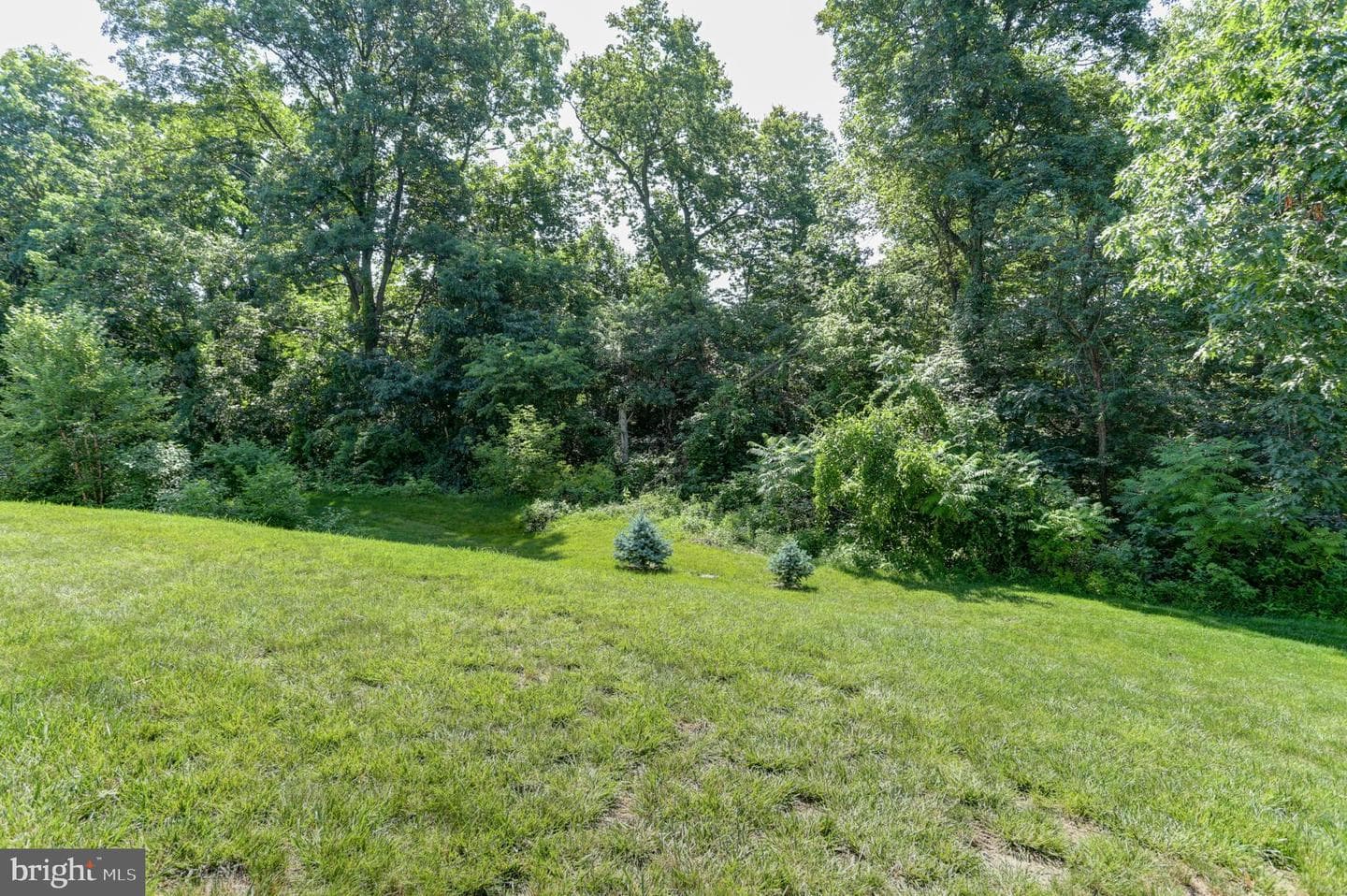 6210 Thornhill Lane photo 34