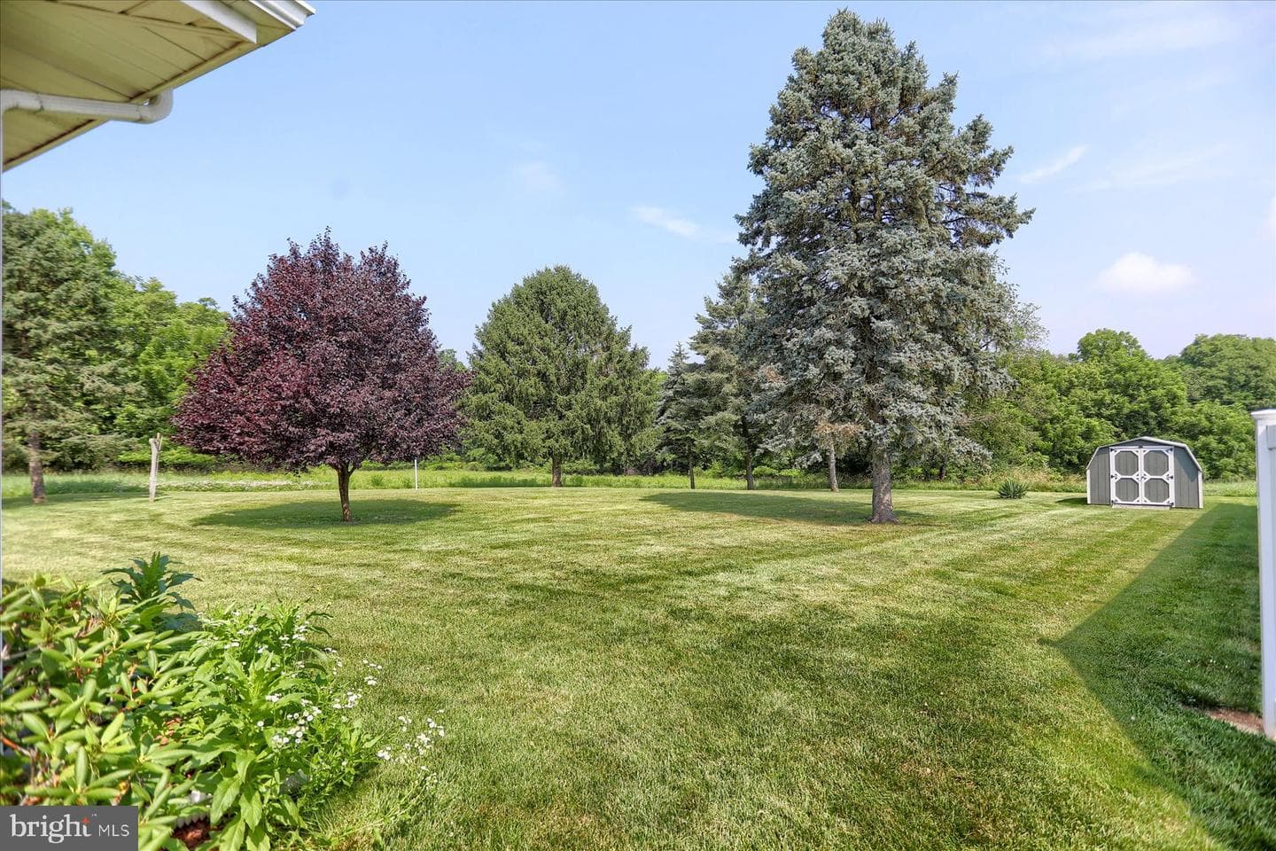 14 Poplar Drive photo 34