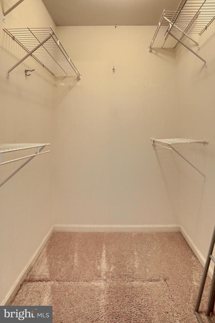 19 Paddock Lane photo 25