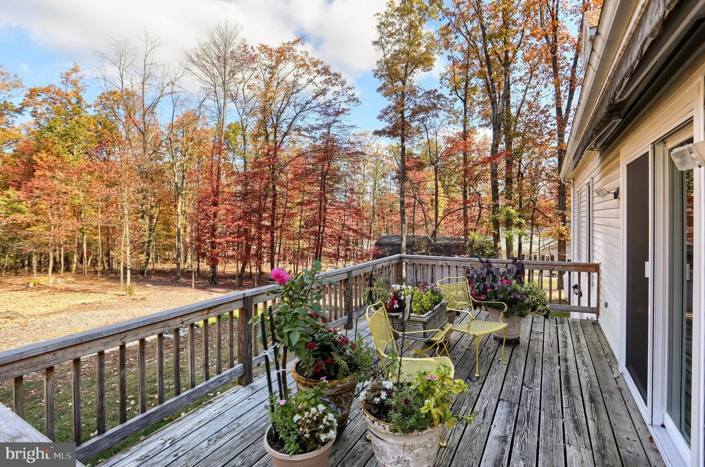 1226 Blossom Terrace photo 5