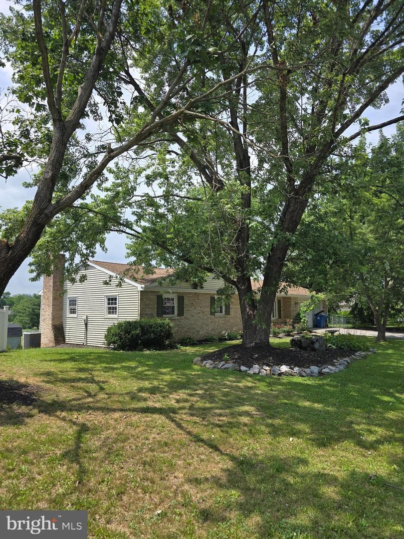 17 Jane Lane photo 2