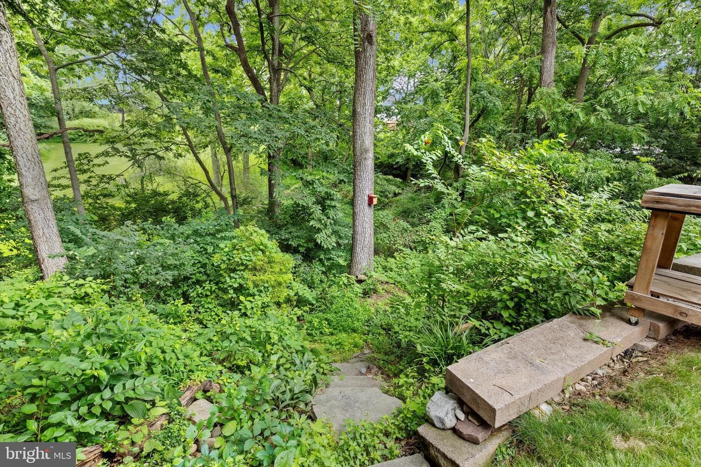 2403 Rolling Hills Drive photo 48