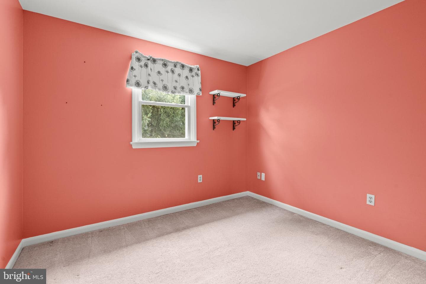 3601 Beech Run Lane photo 21
