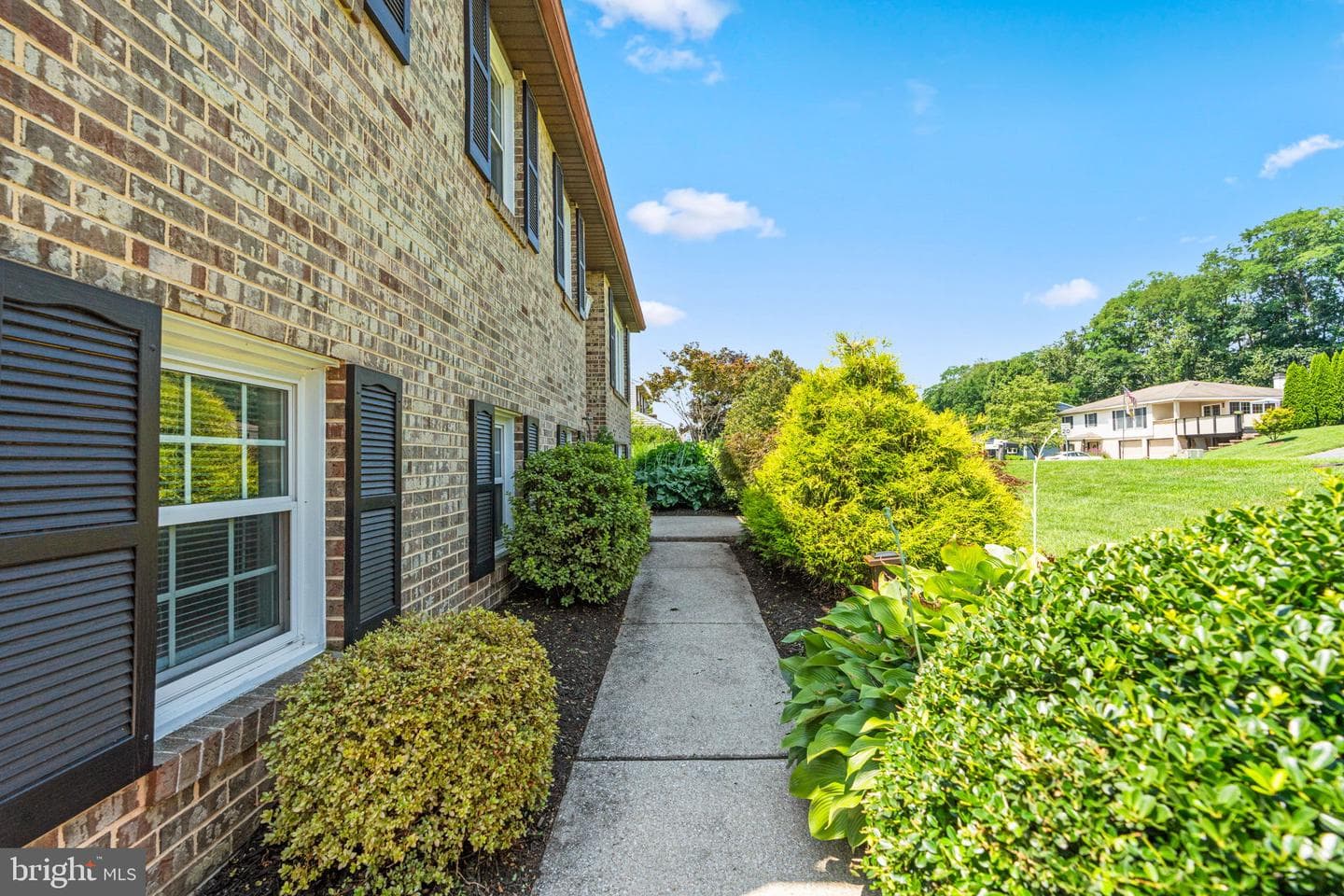 3601 Beech Run Lane photo 4