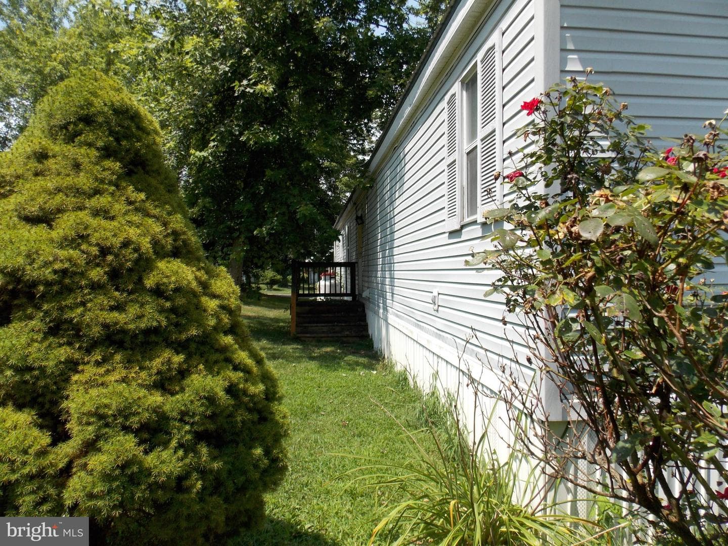 76 Big Spring Terrace photo 5