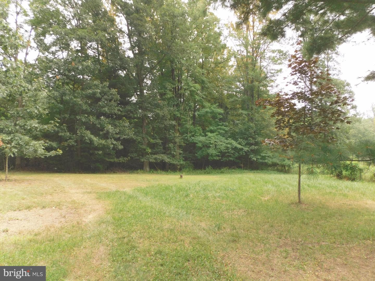 247 Whiskey Springs Road photo 2