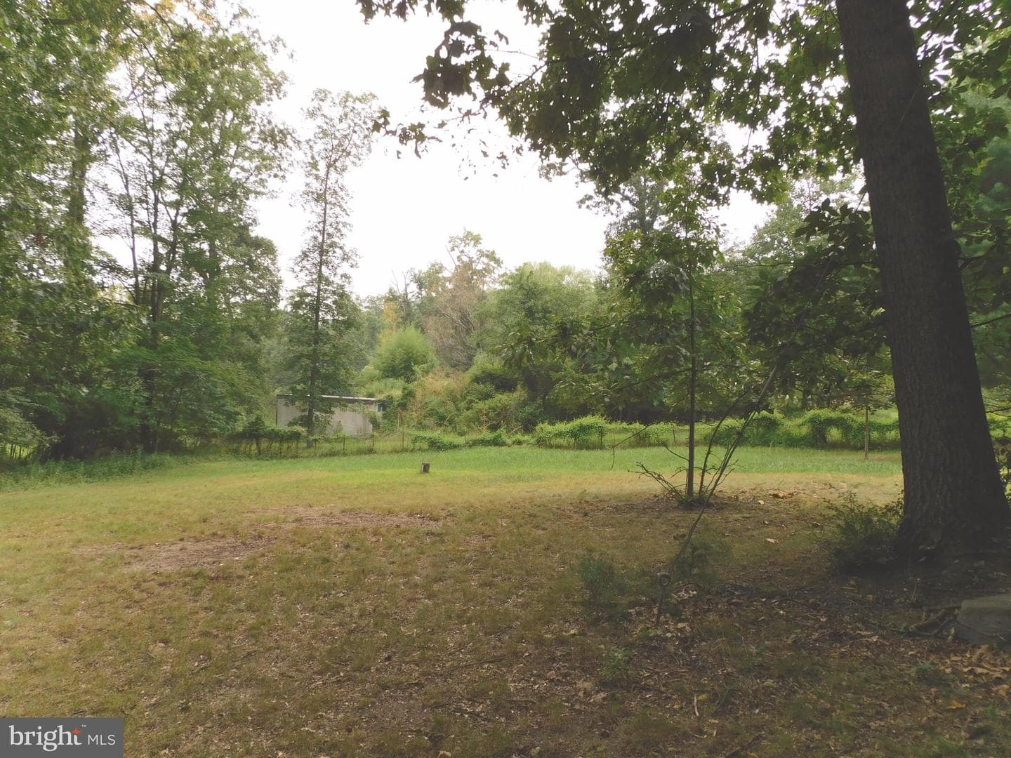 247 Whiskey Springs Road photo 5