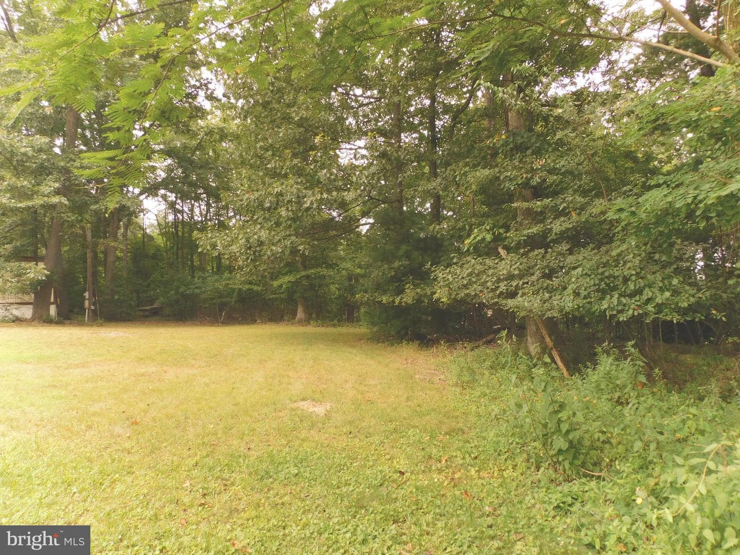 247 Whiskey Springs Road photo 6