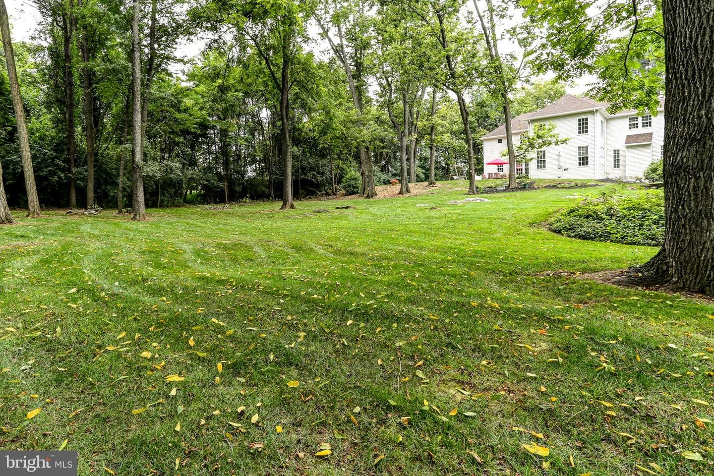 67 Ashton Street photo 65