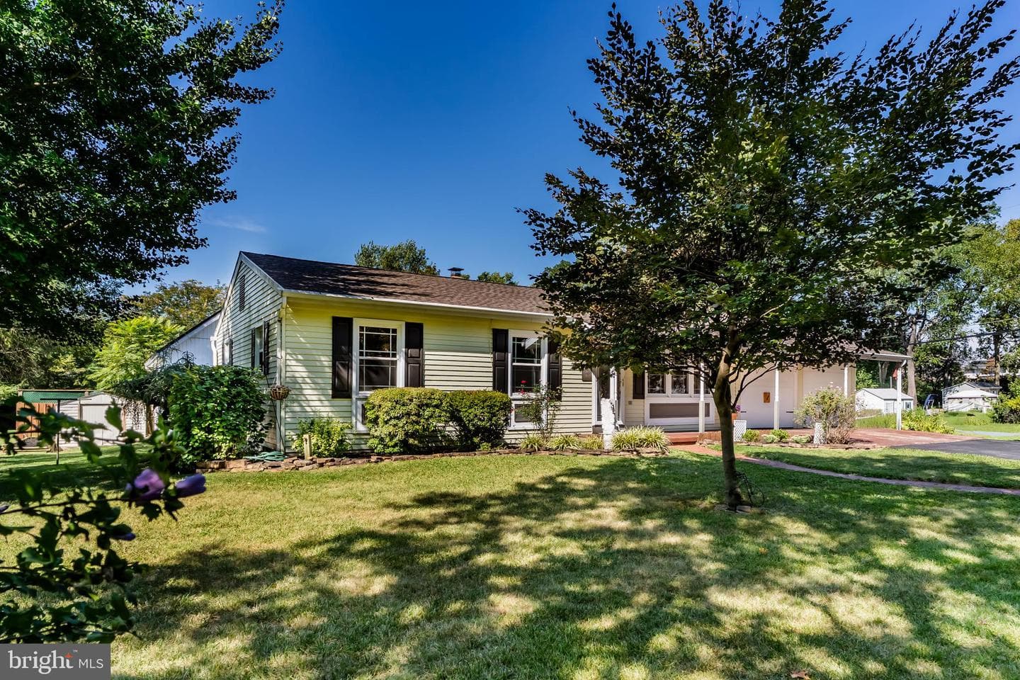 4717 Maple Avenue photo 3