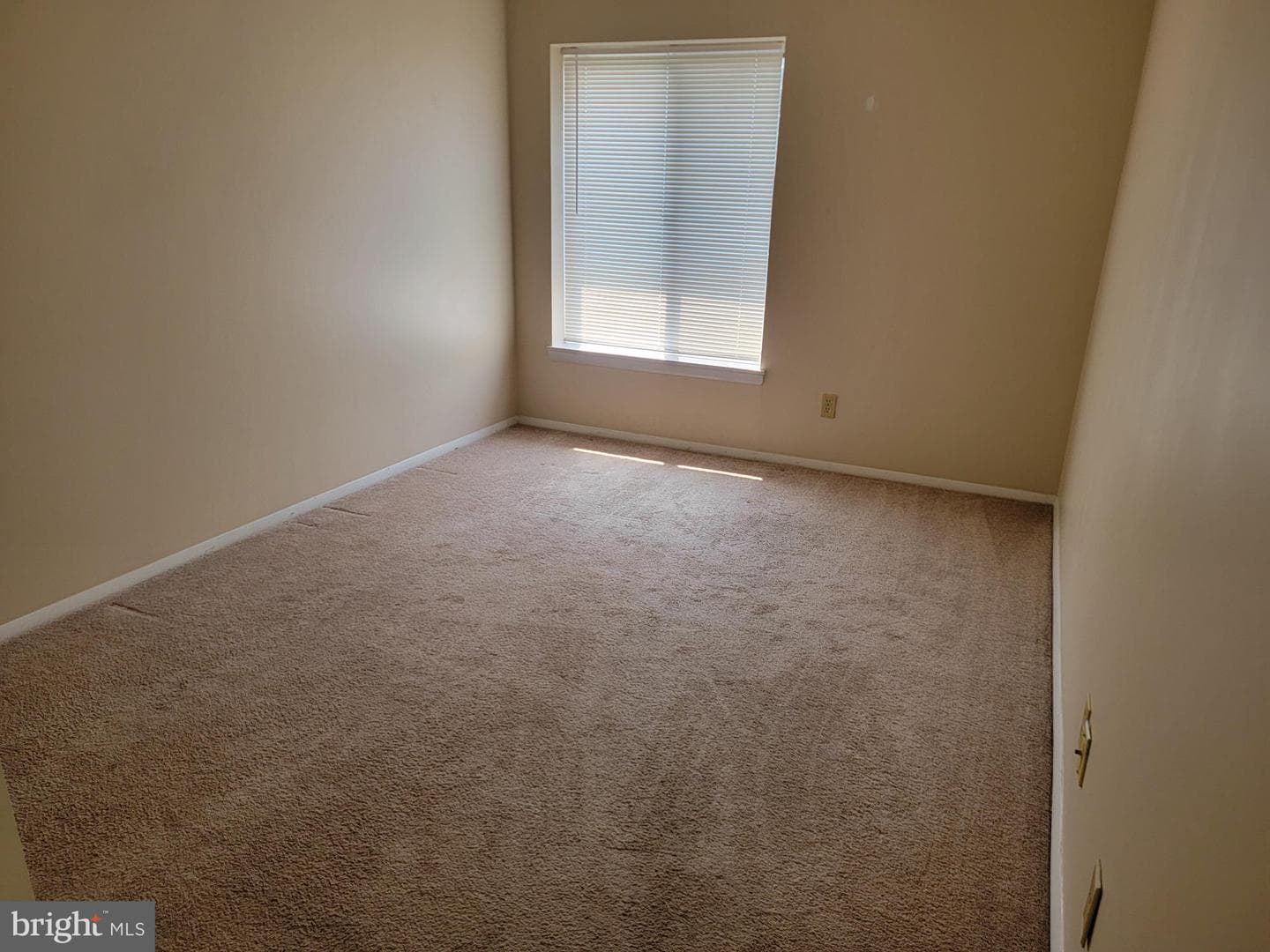 810 Charlotte Way #303 photo 12