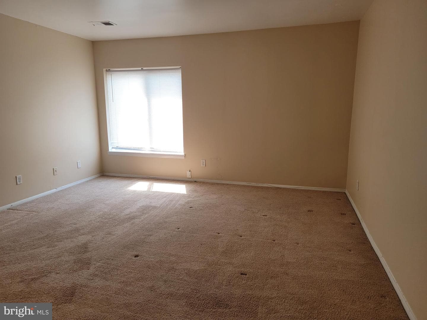 810 Charlotte Way #303 photo 9