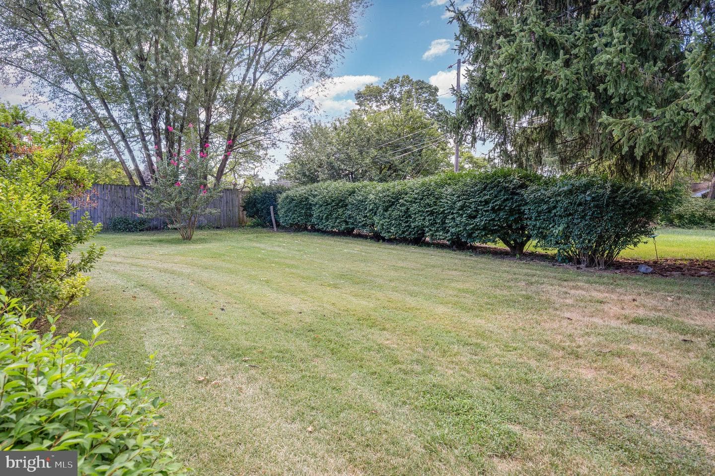 1711 Cedar Cliff Drive photo 33