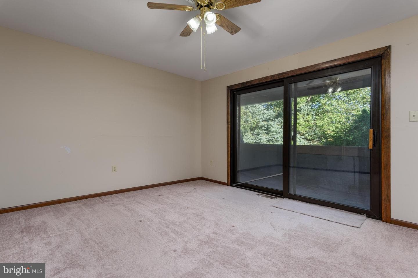 706 Cedar Ridge Lane photo 19