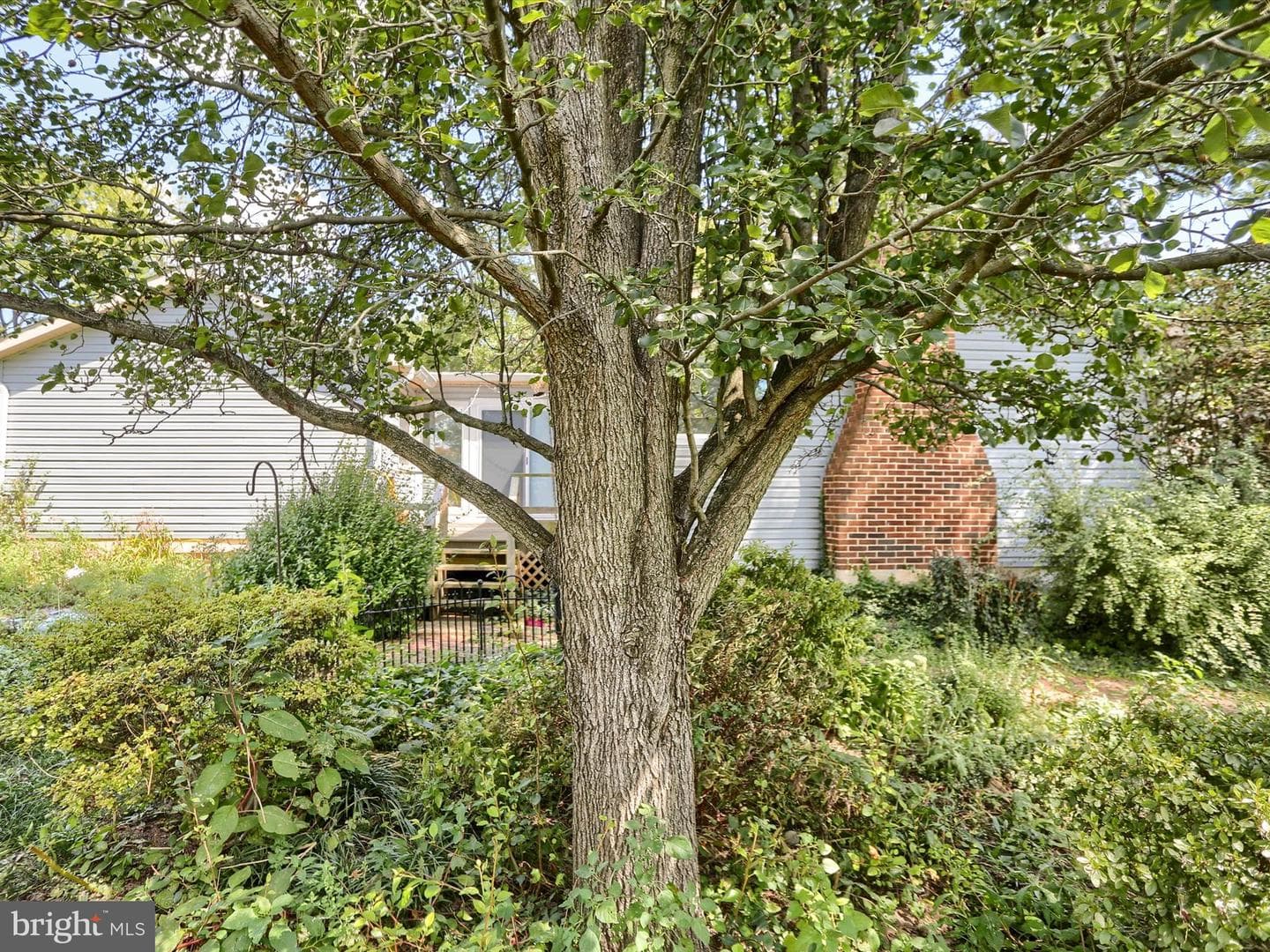 116 Conodoguinet Avenue photo 43