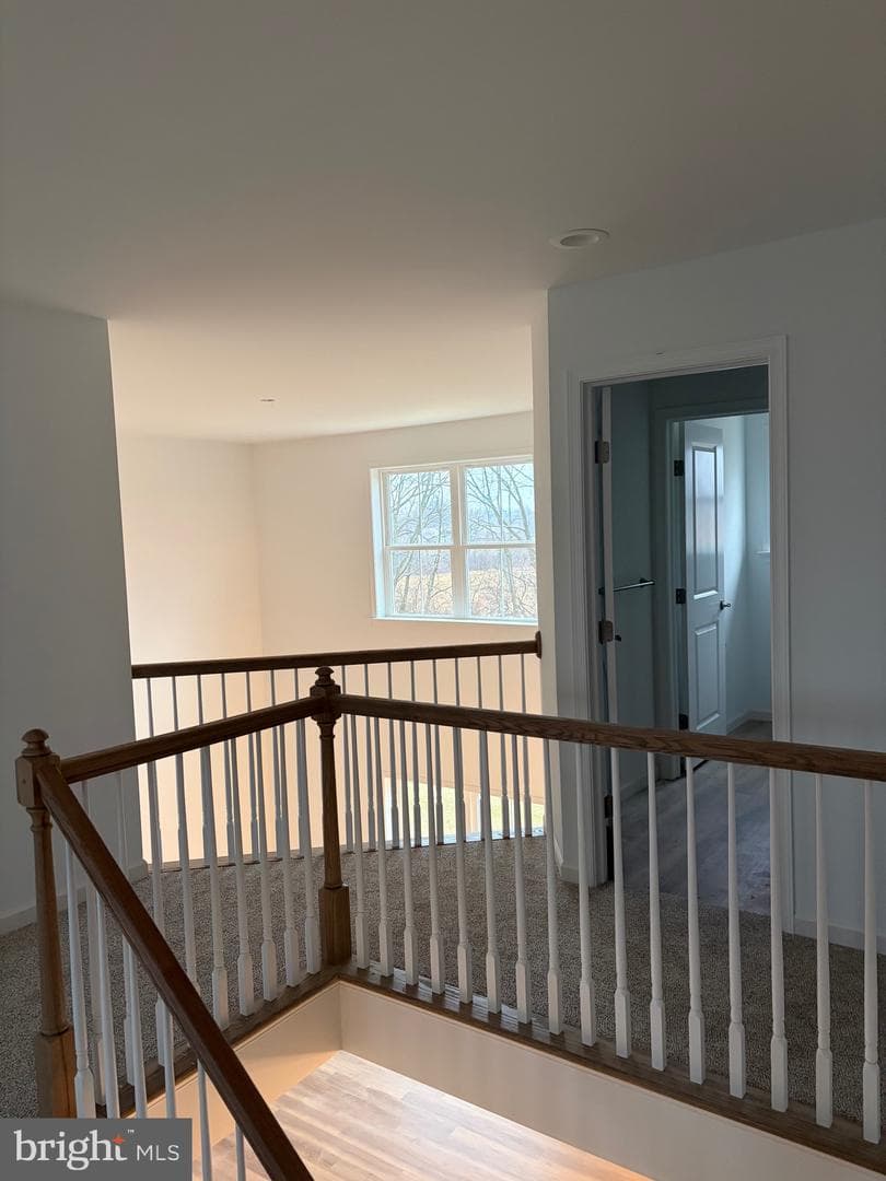 26 American Avenue photo 12