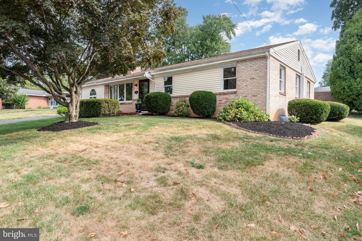 311 Mount Allen photo 2