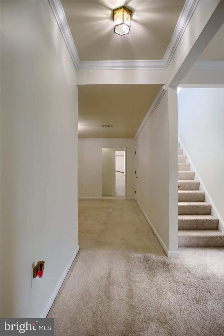5218 Cobblestone Drive photo 7
