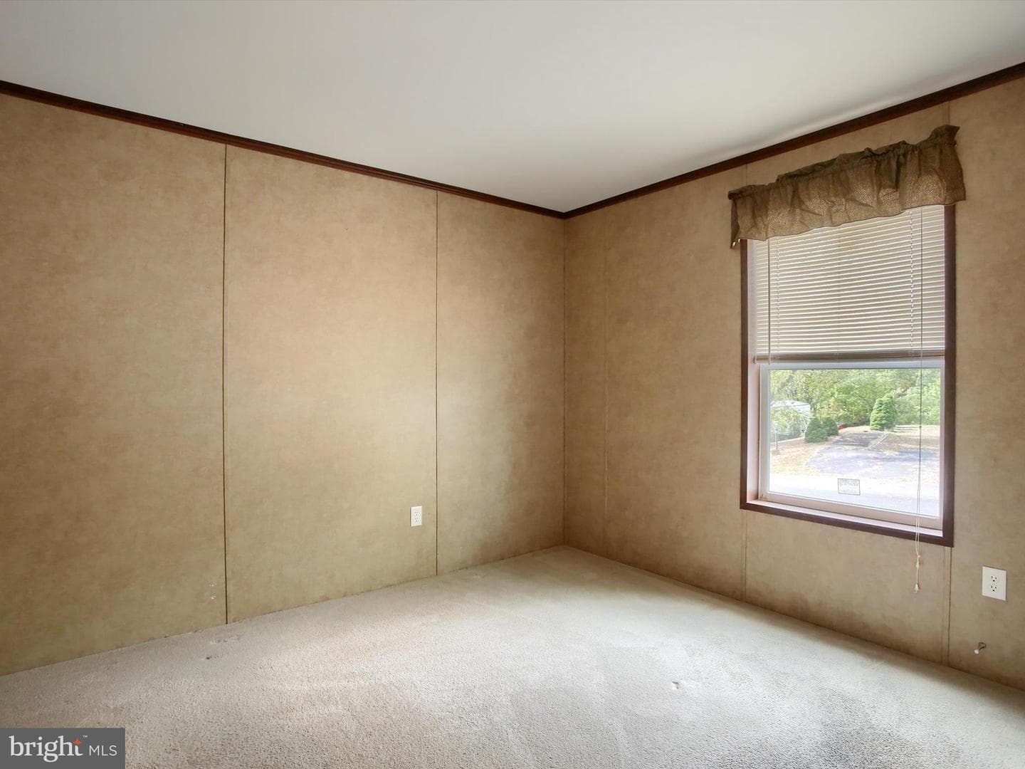 4 Mimosa Lane photo 19