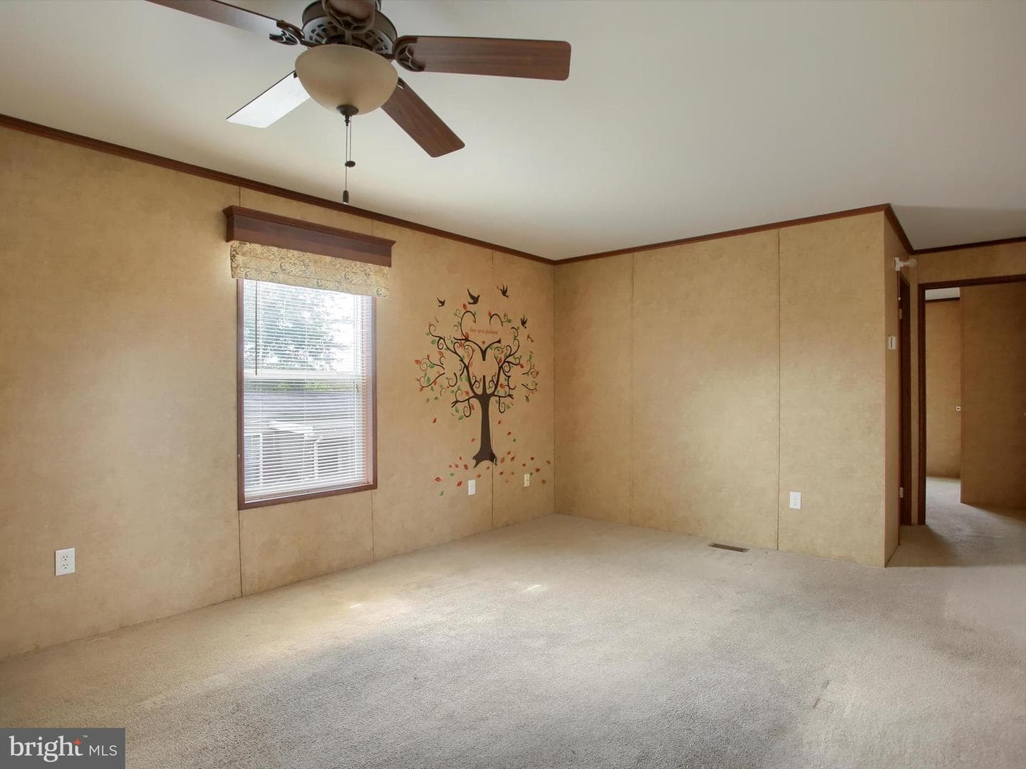 4 Mimosa Lane photo 7