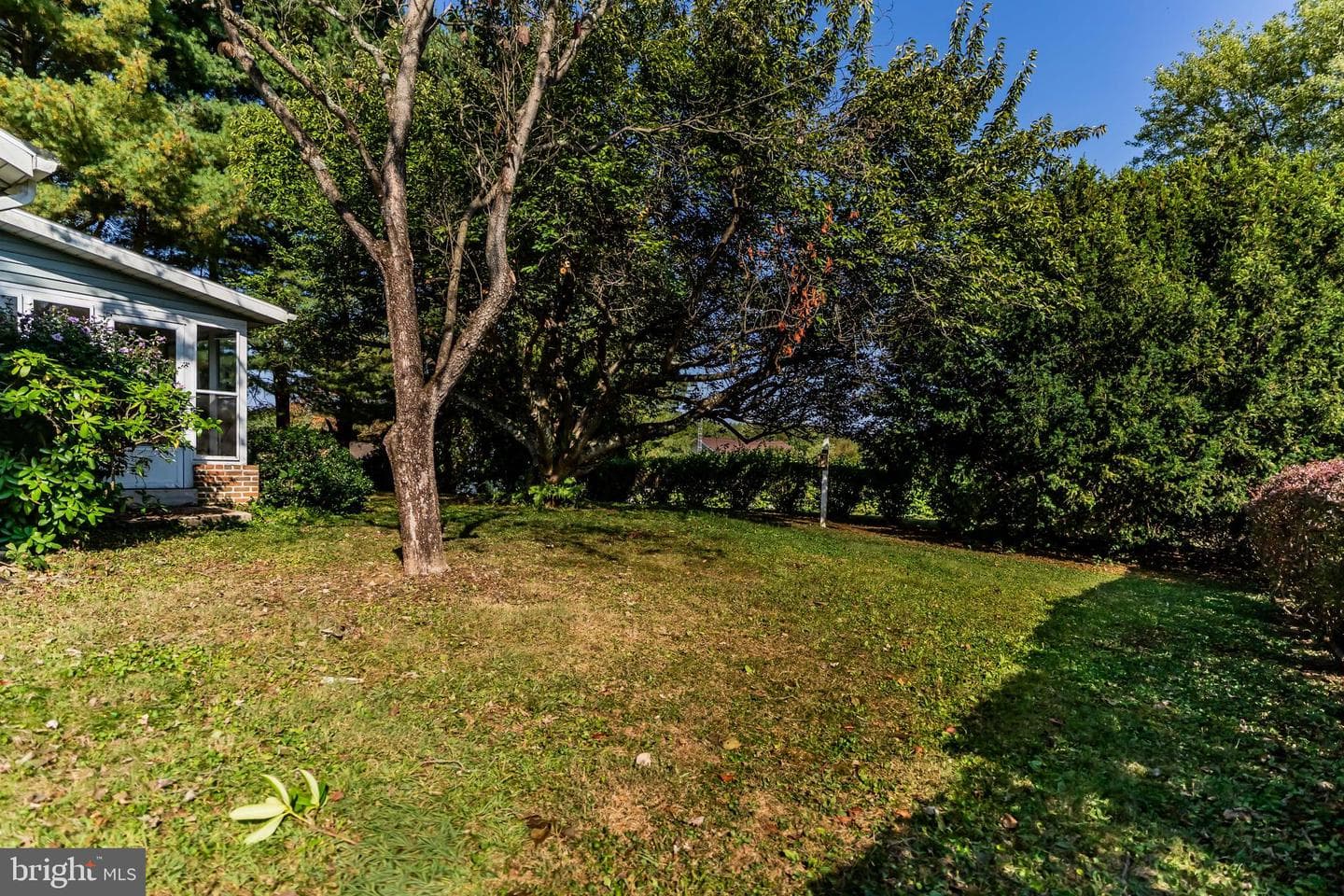 203 Cumberland Drive photo 25