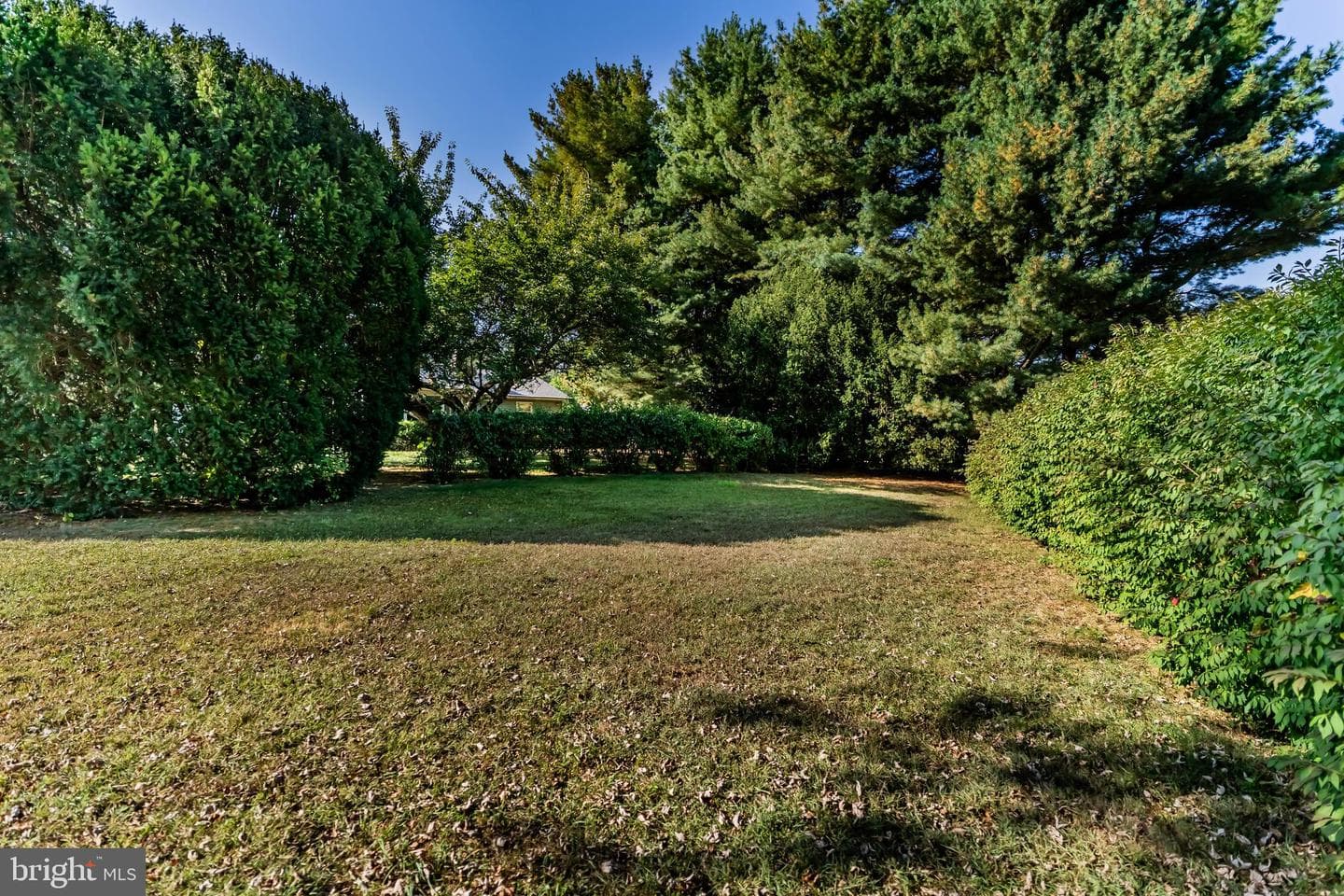 203 Cumberland Drive photo 29
