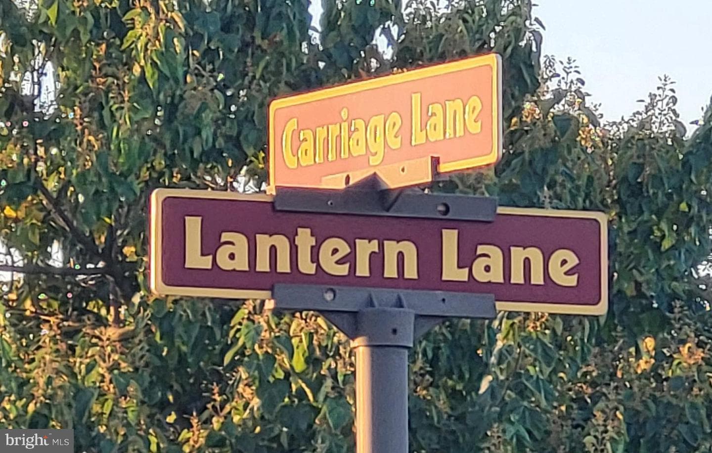 21 Lantern Lane photo 31