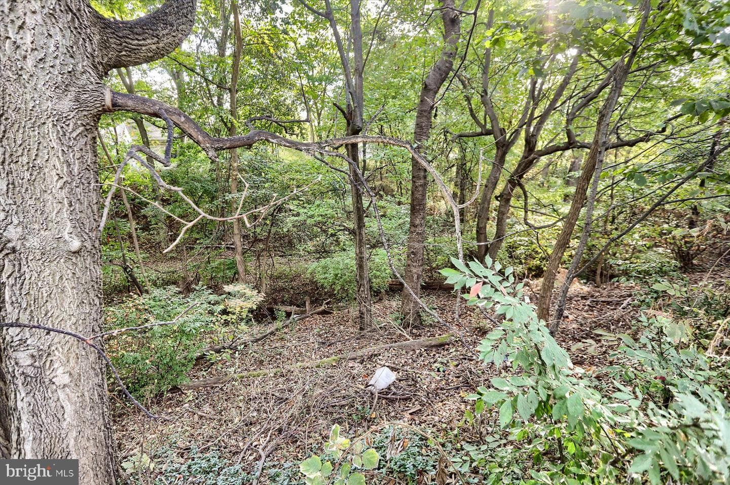 419 Mountain Street photo 43