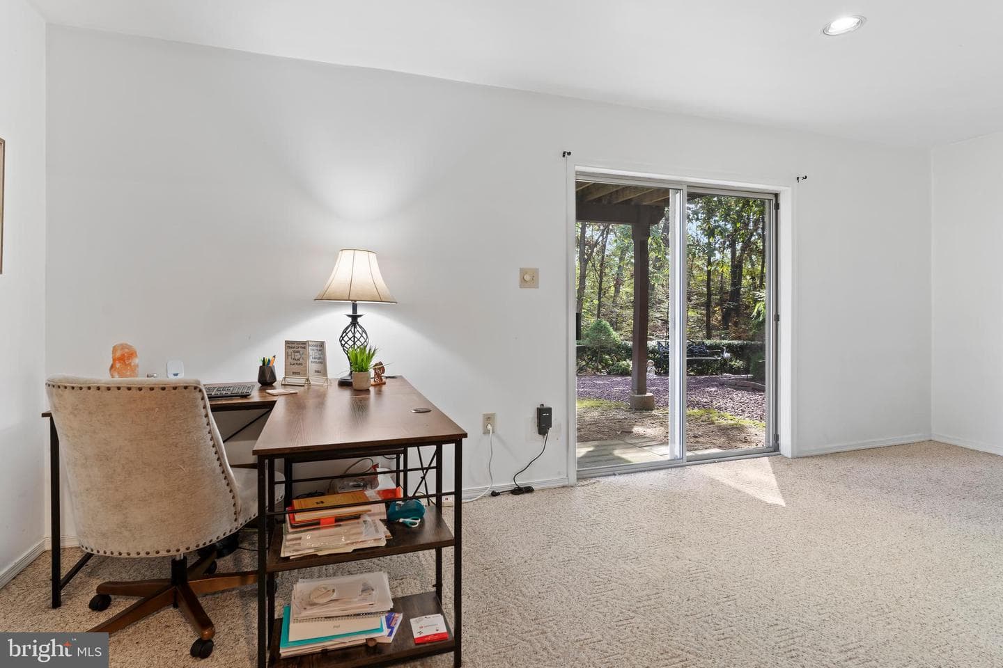 1450 Timber Chase Drive photo 22