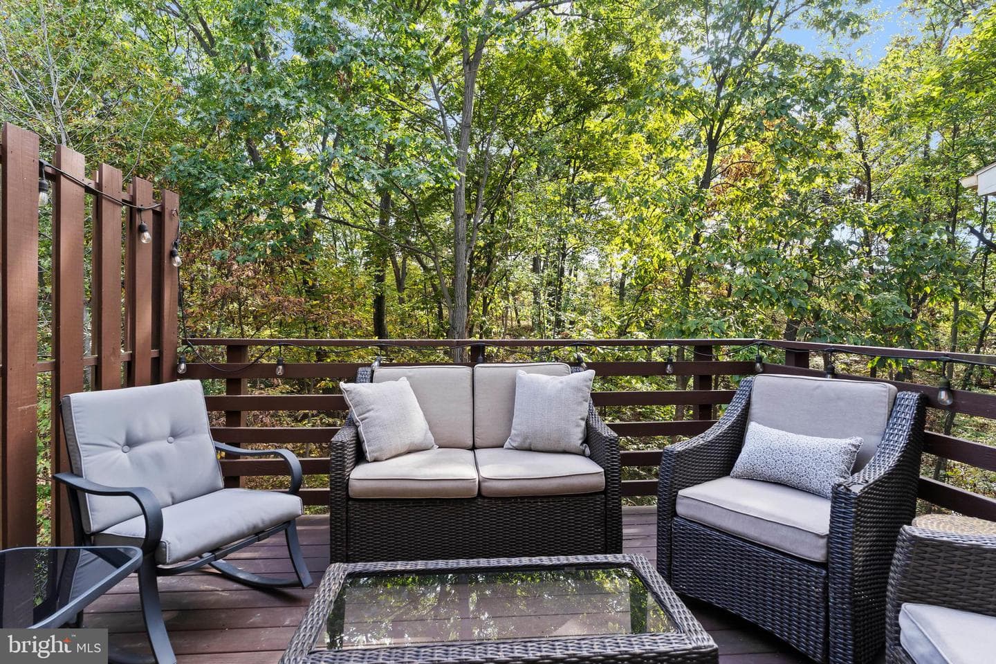 1450 Timber Chase Drive photo 24