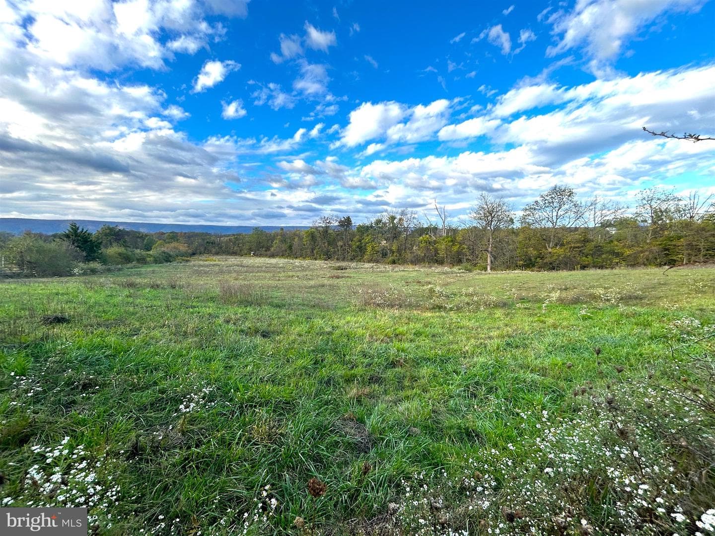 461 Newville Road photo 6