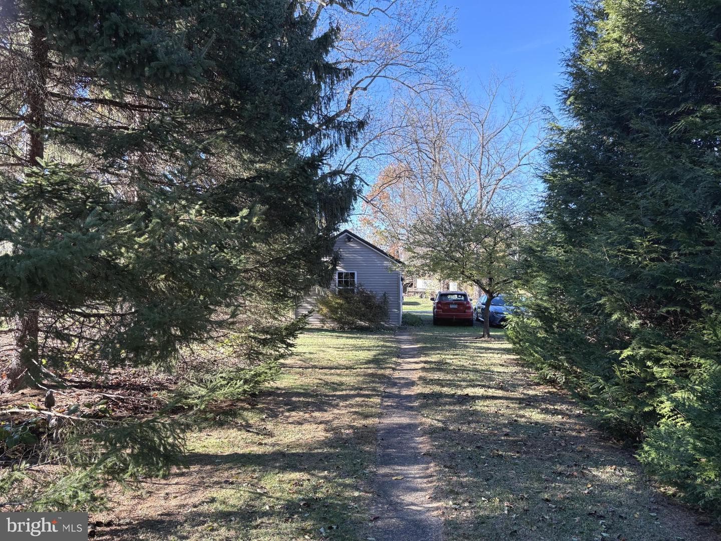 113 Race Street photo 3