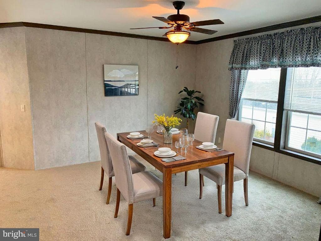 14 Northview Drive photo 4