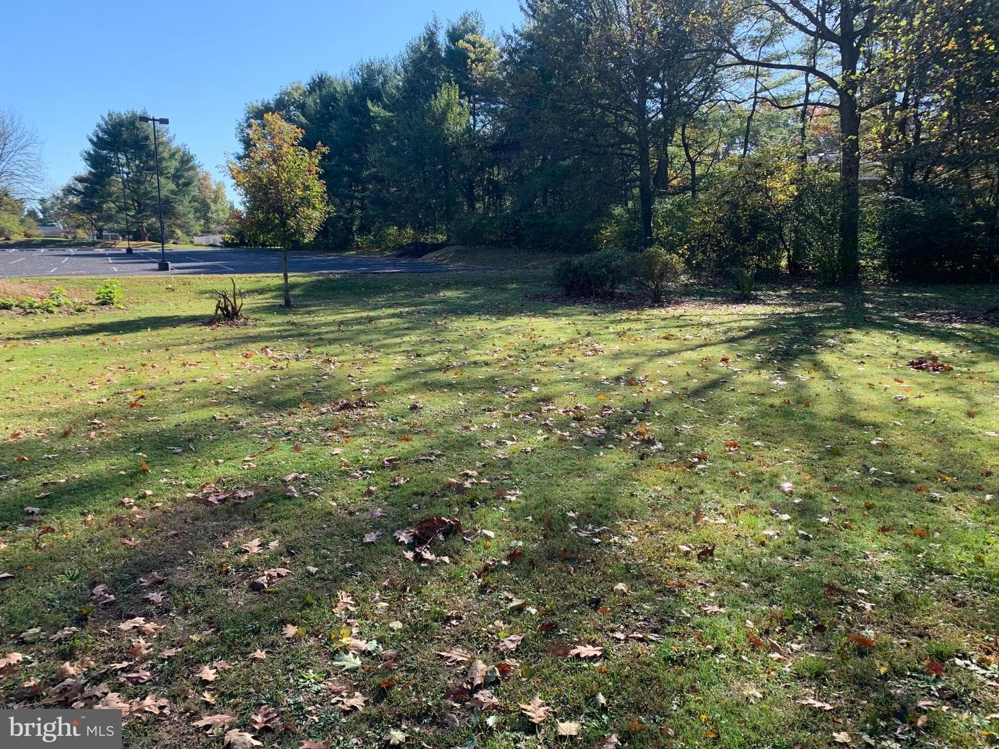 1003 Rockledge Drive photo 8
